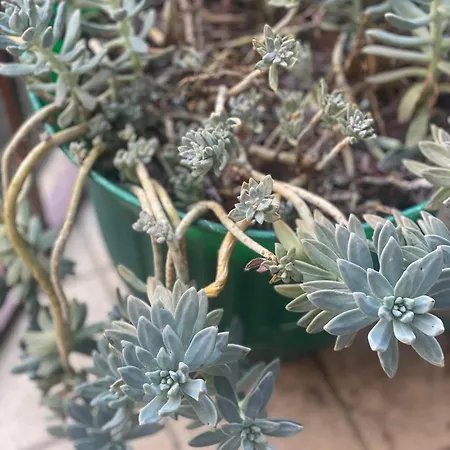 L'arco - In Historic Center Apartament