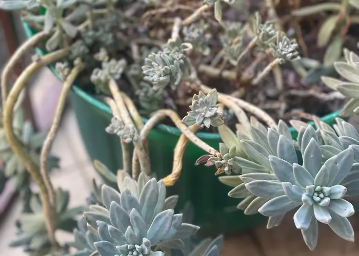 L'arco - In Historic Center Apartamento